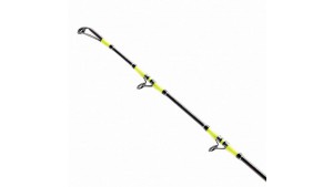 SHIMANO TYRNOS C TROLLING LITE