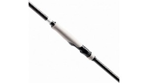 SHIMANO BASSTERRA XT + A POWER GAME