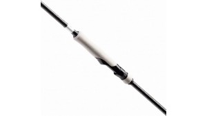 SHIMANO BASSTERRA XT + A SEA BASS