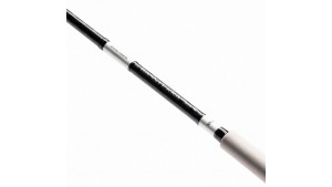 SHIMANO BASSTERRA XT + A SHORE JIGGING