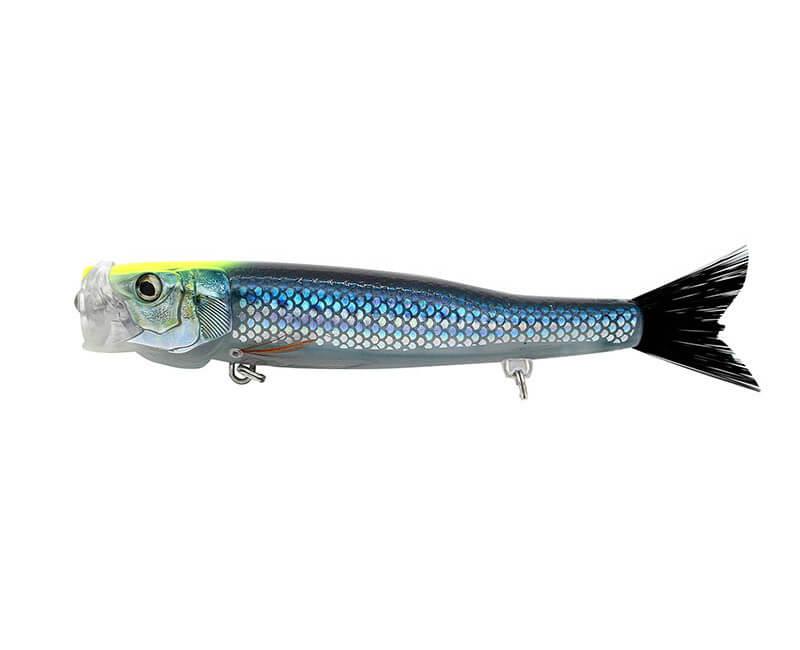 LITTLE JACK BILHOUETTE 135 06 IWASHI GLOW BELLY