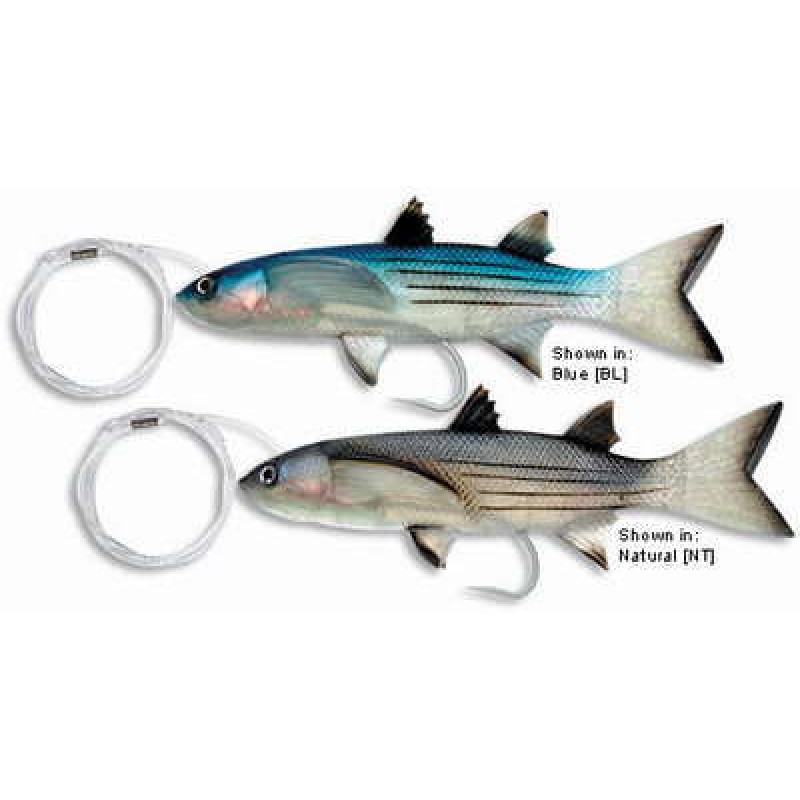williamson live mullet baits soft baits