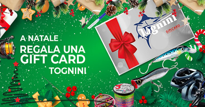 Gift Card Tognini