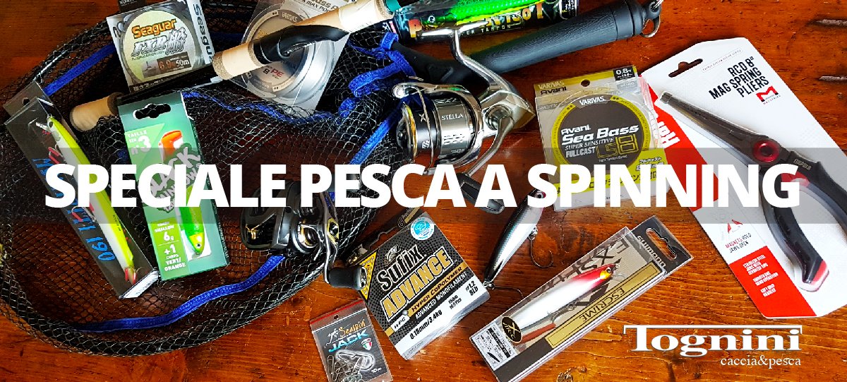 Pesca a spinning